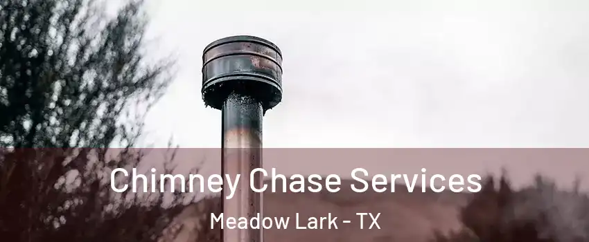 Chimney Chase Services Meadow Lark - TX