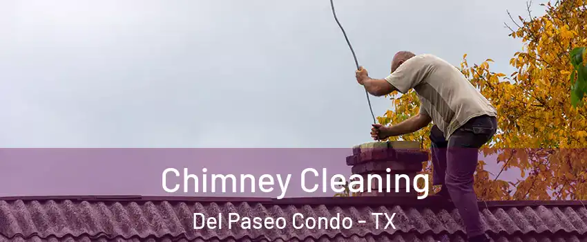 Chimney Cleaning Del Paseo Condo - TX
