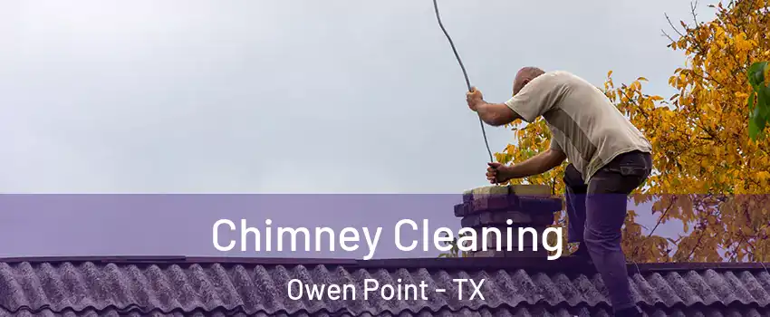 Chimney Cleaning Owen Point - TX
