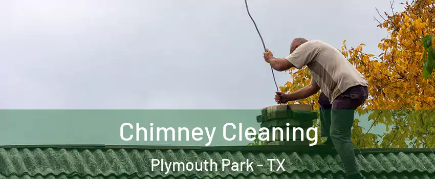 Chimney Cleaning Plymouth Park - TX