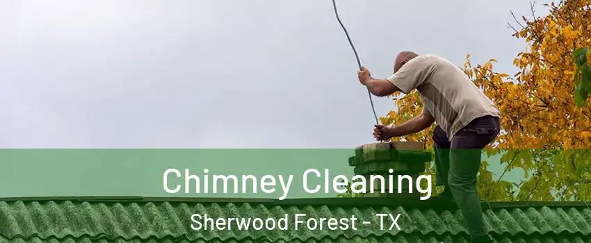 Chimney Cleaning Sherwood Forest - TX