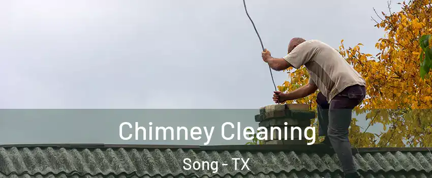 Chimney Cleaning Song - TX