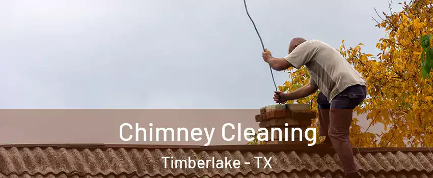 Chimney Cleaning Timberlake - TX