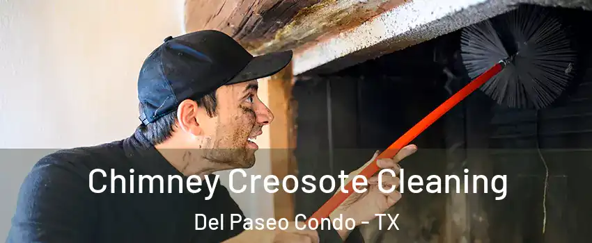 Chimney Creosote Cleaning Del Paseo Condo - TX