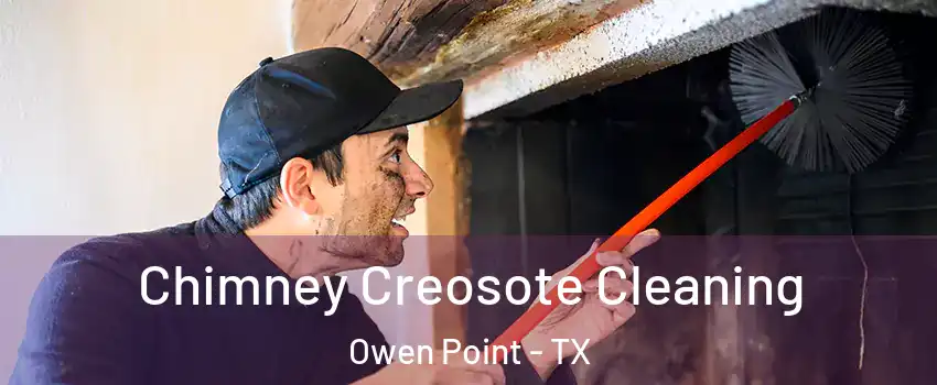 Chimney Creosote Cleaning Owen Point - TX
