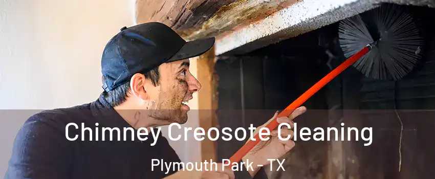 Chimney Creosote Cleaning Plymouth Park - TX