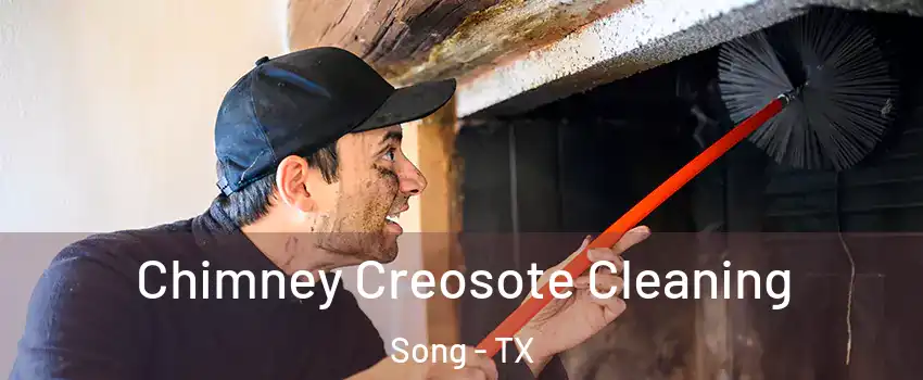 Chimney Creosote Cleaning Song - TX
