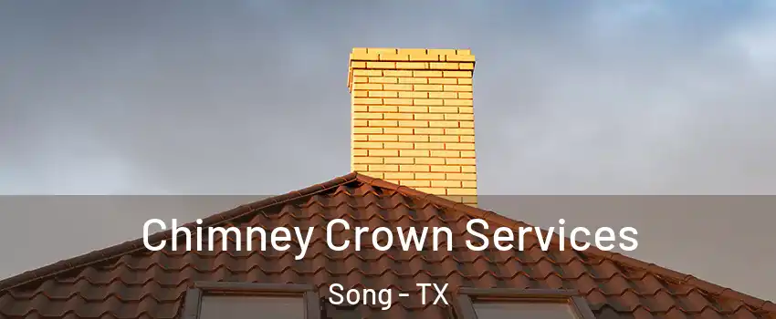 Chimney Crown Services Song - TX