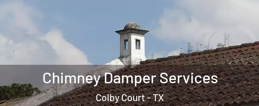 Chimney Damper Services Colby Court - TX