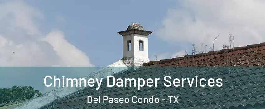 Chimney Damper Services Del Paseo Condo - TX