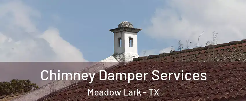 Chimney Damper Services Meadow Lark - TX