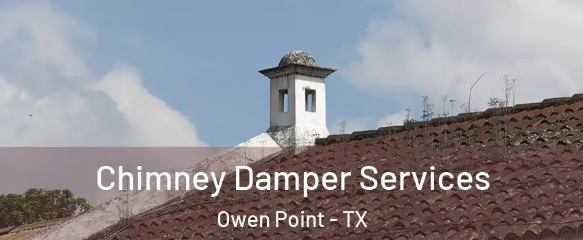 Chimney Damper Services Owen Point - TX