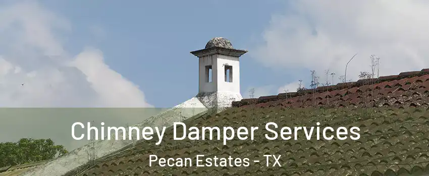 Chimney Damper Services Pecan Estates - TX