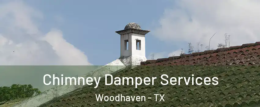Chimney Damper Services Woodhaven - TX
