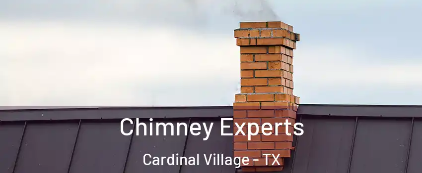 Chimney Experts Cardinal Village - TX