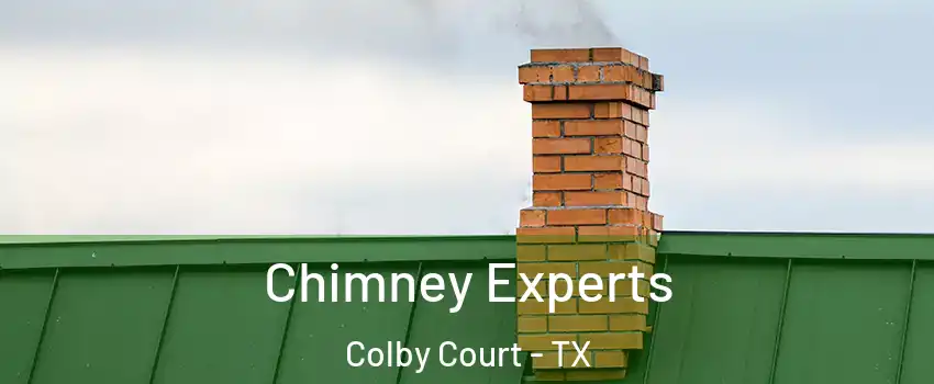Chimney Experts Colby Court - TX