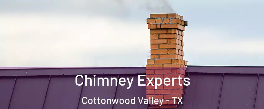 Chimney Experts Cottonwood Valley - TX