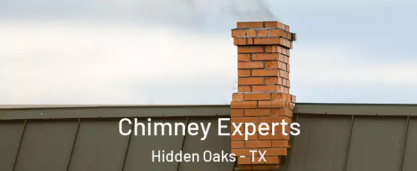 Chimney Experts Hidden Oaks - TX