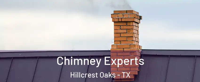 Chimney Experts Hillcrest Oaks - TX