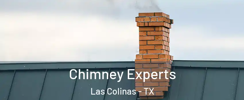 Chimney Experts Las Colinas - TX