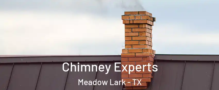 Chimney Experts Meadow Lark - TX