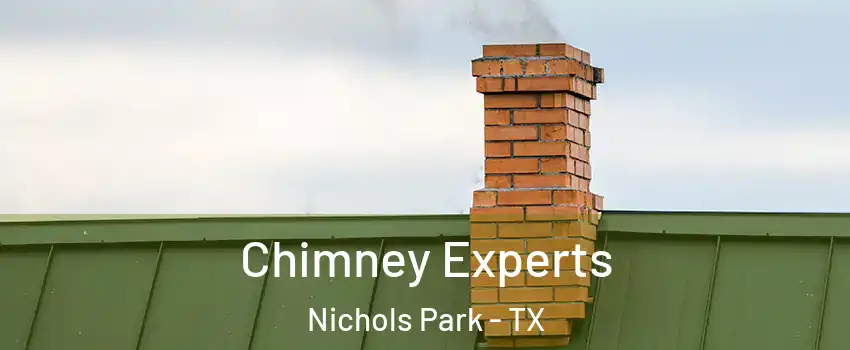 Chimney Experts Nichols Park - TX