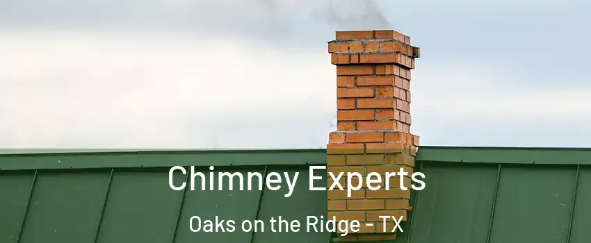Chimney Experts Oaks on the Ridge - TX