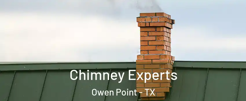 Chimney Experts Owen Point - TX