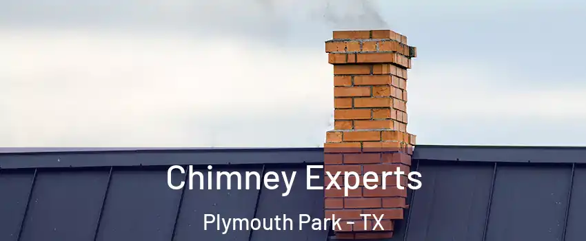 Chimney Experts Plymouth Park - TX