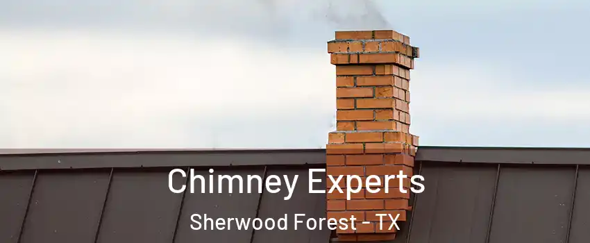 Chimney Experts Sherwood Forest - TX