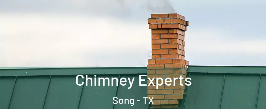 Chimney Experts Song - TX