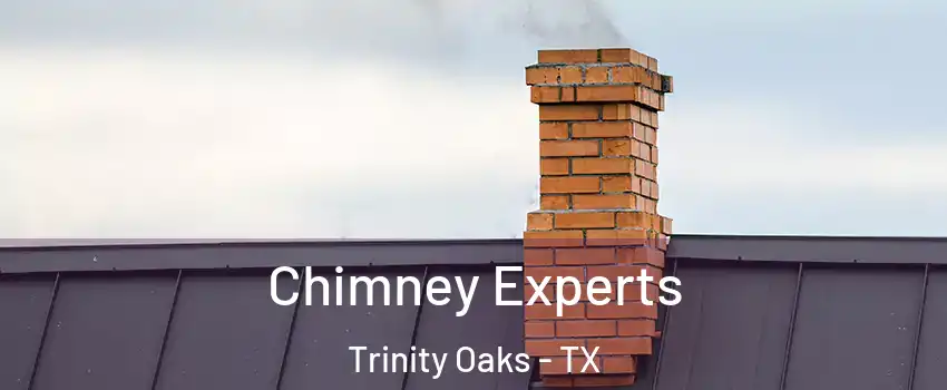 Chimney Experts Trinity Oaks - TX