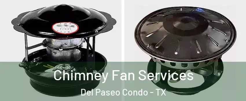 Chimney Fan Services Del Paseo Condo - TX