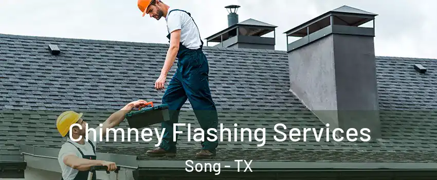 Chimney Flashing Services Song - TX