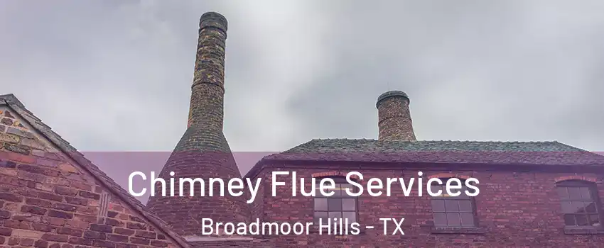 Chimney Flue Services Broadmoor Hills - TX