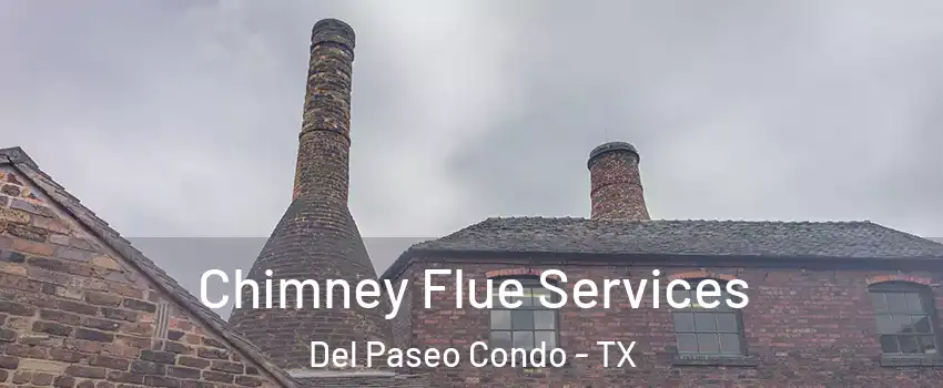 Chimney Flue Services Del Paseo Condo - TX