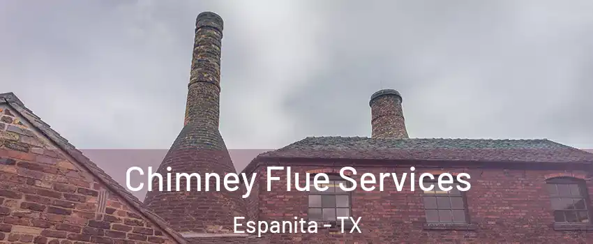 Chimney Flue Services Espanita - TX