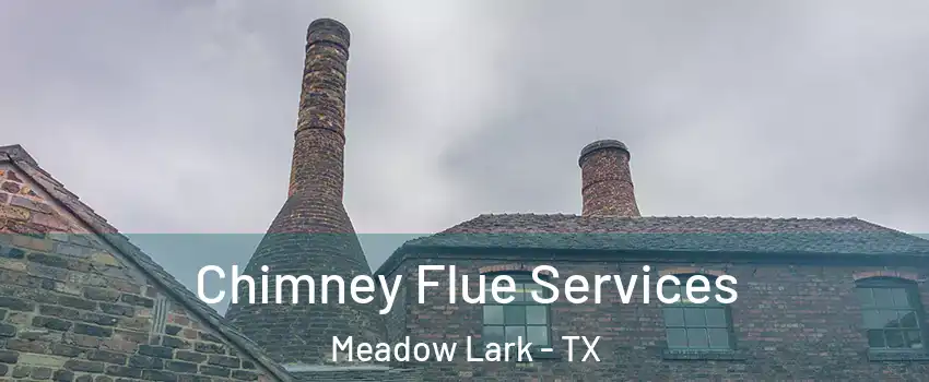 Chimney Flue Services Meadow Lark - TX