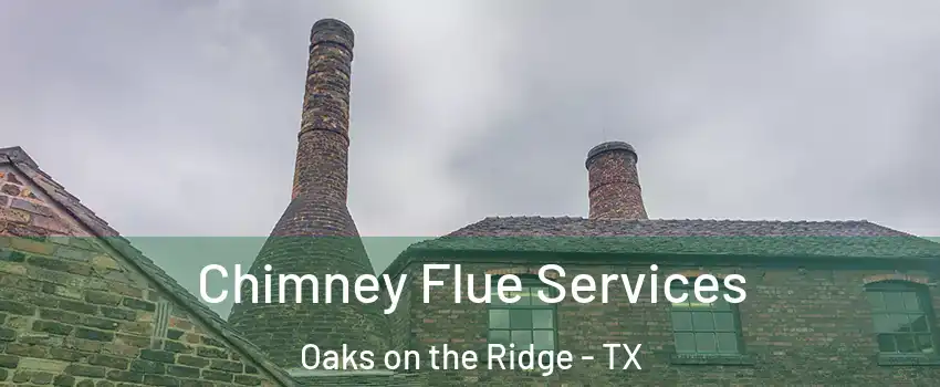 Chimney Flue Services Oaks on the Ridge - TX