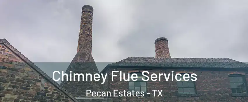 Chimney Flue Services Pecan Estates - TX