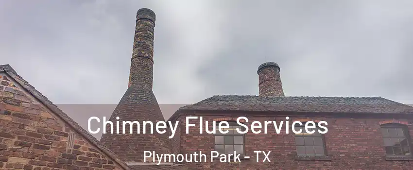 Chimney Flue Services Plymouth Park - TX