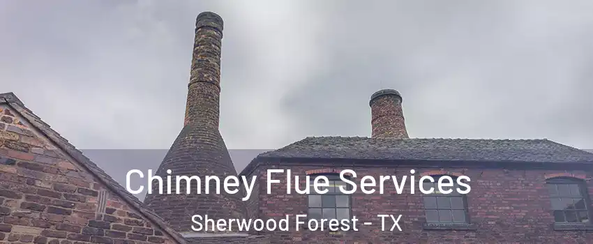 Chimney Flue Services Sherwood Forest - TX
