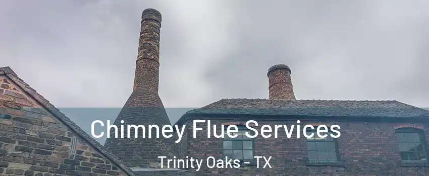 Chimney Flue Services Trinity Oaks - TX
