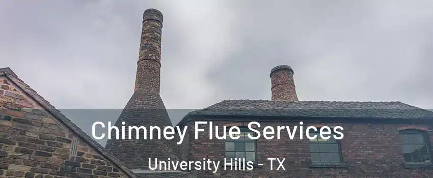 Chimney Flue Services University Hills - TX