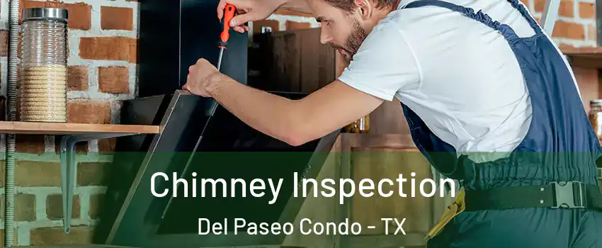 Chimney Inspection Del Paseo Condo - TX