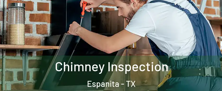 Chimney Inspection Espanita - TX