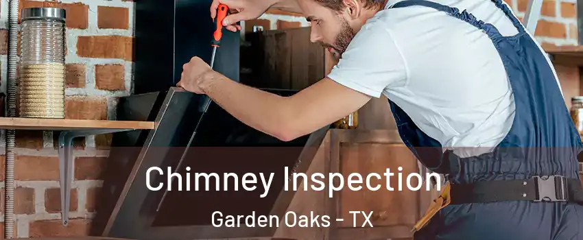 Chimney Inspection Garden Oaks - TX
