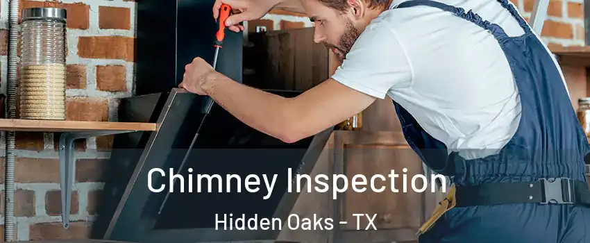 Chimney Inspection Hidden Oaks - TX