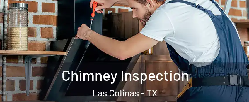 Chimney Inspection Las Colinas - TX