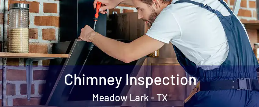 Chimney Inspection Meadow Lark - TX